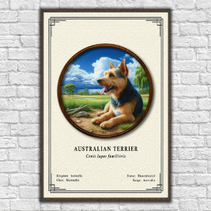 Affiche Série de zoologie Terrier Australien