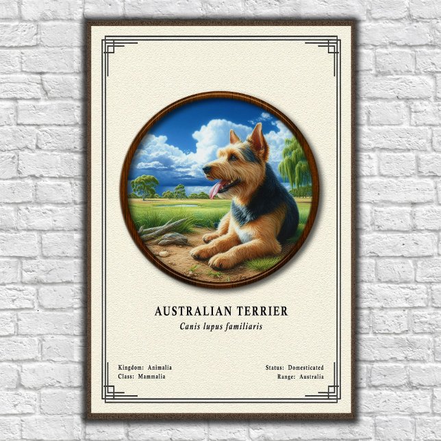 Affiche Série de zoologie Terrier Australien (Créateur téléchargé)