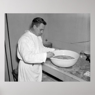 Affiche Série fraîche de vaccin de pneumonie : 1937