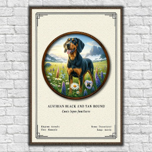 Affiche Séries de zoologie du chien de chasse noir et feu 