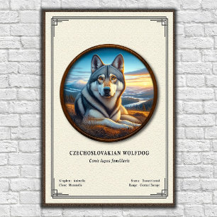 Affiche Séries de zoologie du chien-loup tchécoslovaque