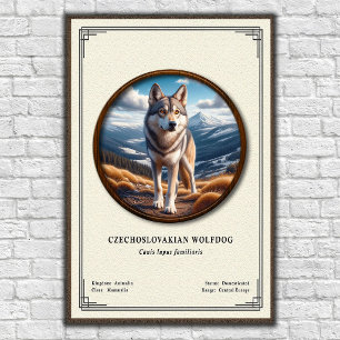 Affiche Séries de zoologie du chien-loup tchécoslovaque