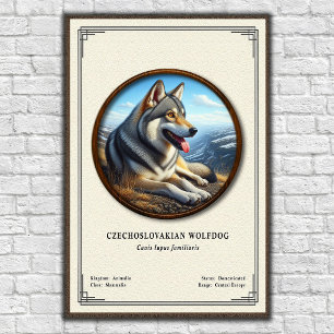 Affiche Séries de zoologie du chien-loup tchécoslovaque