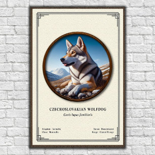 Affiche Séries de zoologie du chien loup tchécoslovaque