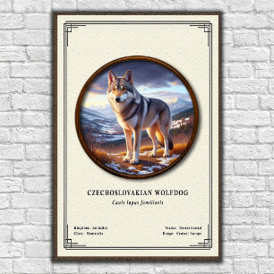 Affiche Séries de zoologie sur le Chien loup tchécoslovaqu