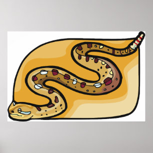 Affiche Serpent à Sonnette Replié sur Lui-Même Désert du S