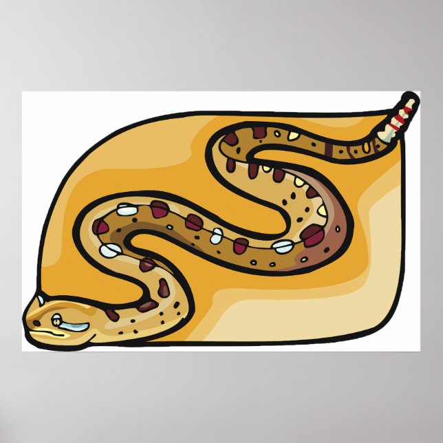 Affiche Serpent à Sonnette Replié sur Lui-Même Désert du S (Devant)