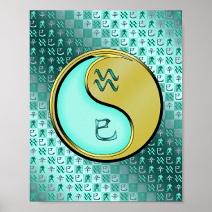 Affiche Serpent Aquarius et Métal