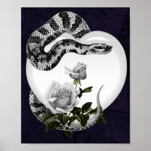 Affiche Serpent Coeur gothique Rose blanche de Saint-Valen