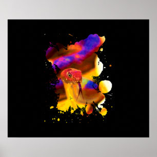 Affiche Serpent coloré