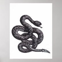 Serpent Crotalus Cascavella (Vipère à Piton Venime