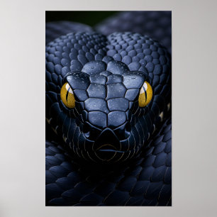 Affiche Serpent noir