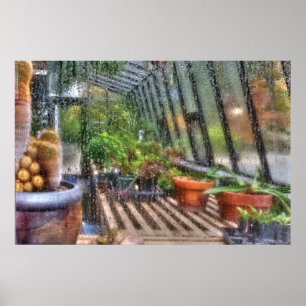 Affiche Serre - Dans une fenêtre de serre