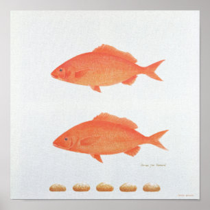 Affiche Sert Cinq Mille 2005