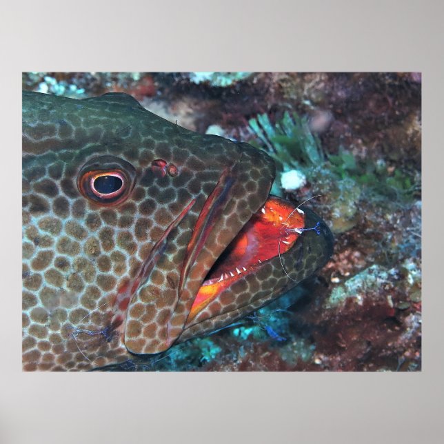 Affiche Service de nettoyage (Devant)