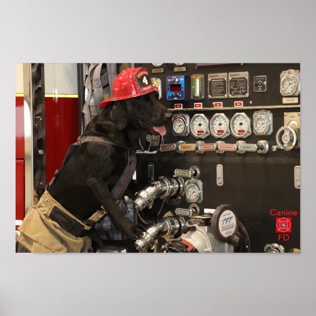 Affiche Service d'incendie canin (Devant)