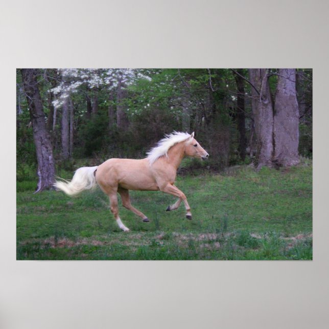 Affiche Service gratuit (Devant)