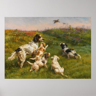 Affiche Setter and Pups par Edmund Henry Osthaus