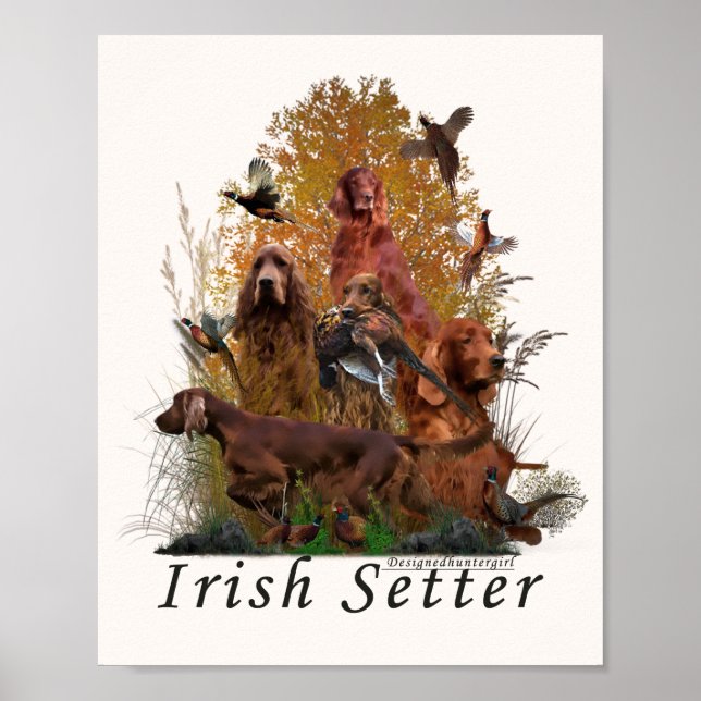 Affiche Setter irlandais (Devant)