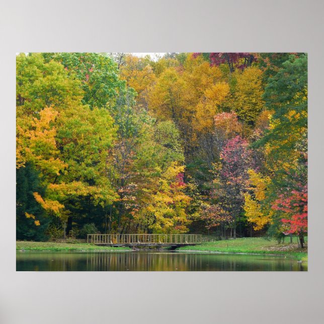 Affiche Seven Springs Fall Bridge II Autumn Paysage (Devant)