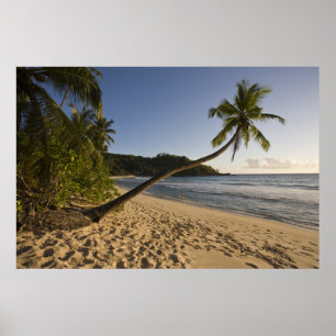 Affiche Seychelles, île de Mahé, plage d'Anse Takamaka,