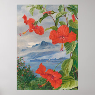Affiche Seychelles par Marianne North - Paysage exotique
