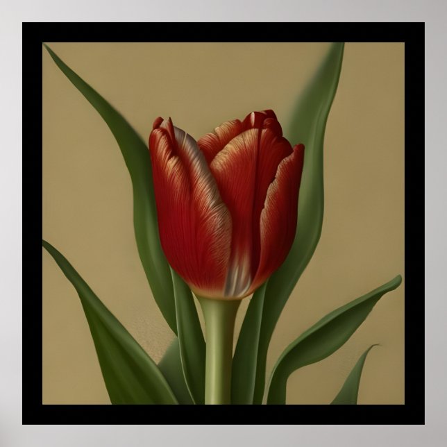 Affiche Shabby Chic Lovely  Red Tulip  (Devant)