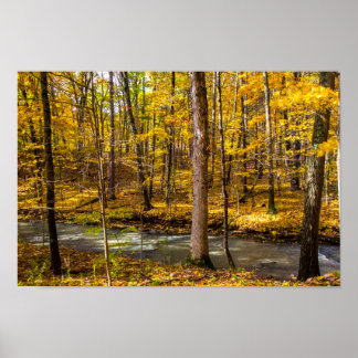 Affiche Shale Hollow en automne, Lewis Centre, Ohio