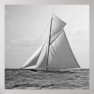 Affiche Shamrock II à la marque extérieure 1901 BW