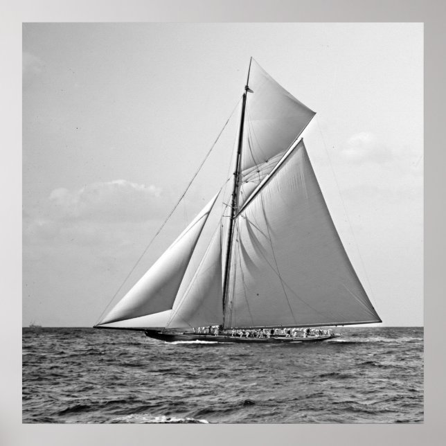 Affiche Shamrock II à la marque extérieure 1901 BW (Devant)