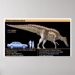 Affiche Shantungosaurus - Biologie Jurassique