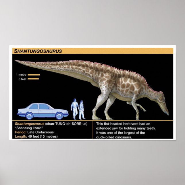 Affiche Shantungosaurus - Biologie Jurassique (Devant)