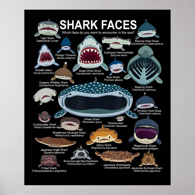 Affiche Shark faces Which Face Do You Want To Encounter (Devant)