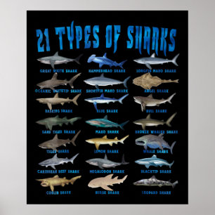 Affiche Shark Lovers 21 Types of Sharks Ocean Animal