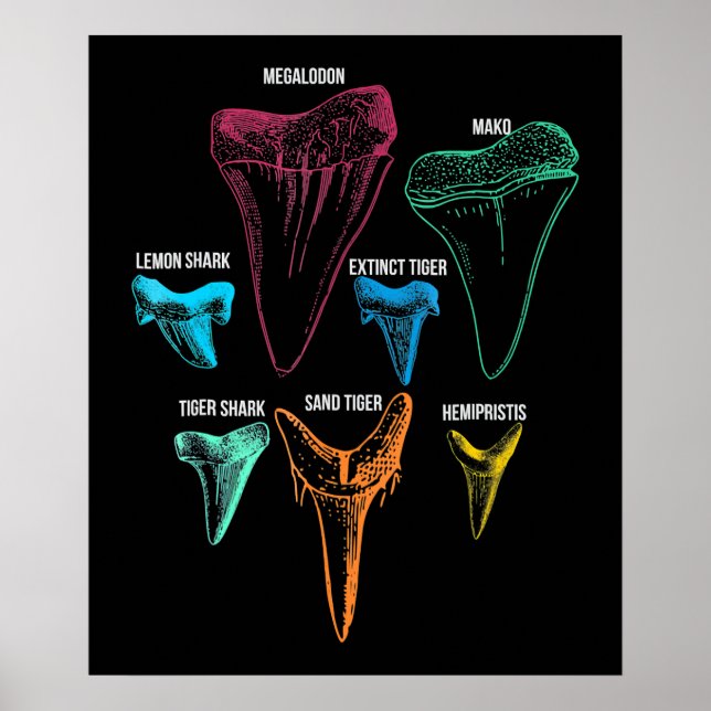 Affiche Shark Tooth Hunting - Crazy Shark Gifts (Devant)