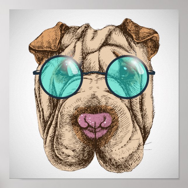 Affiche Sharpei dans les lunettes de soleil (Devant)