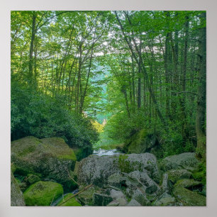 Affiche Shays Run, Virginie-Occidentale