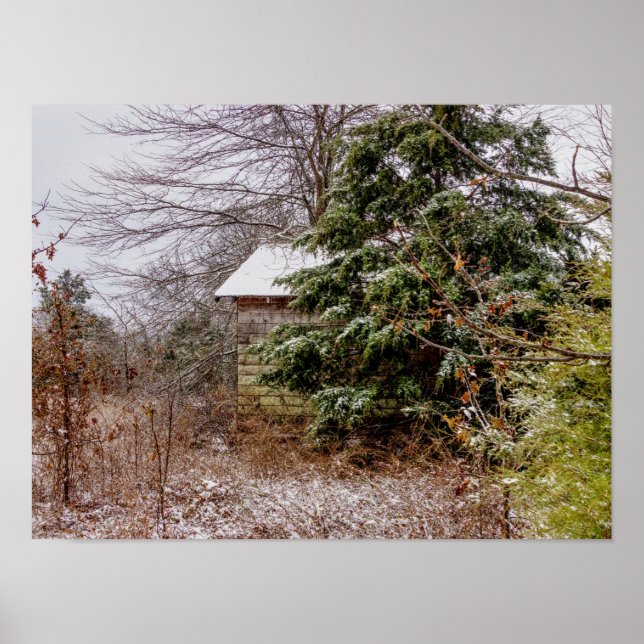 Affiche Shed abandonné (Devant)