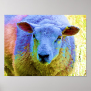 AFFICHE SHEEP
