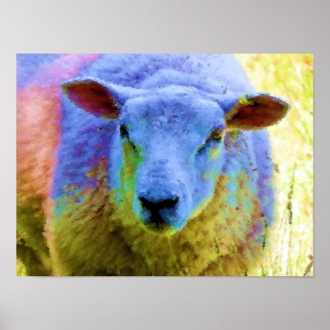 AFFICHE SHEEP (Devant)