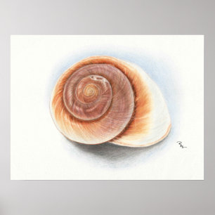Affiche Shell impriment