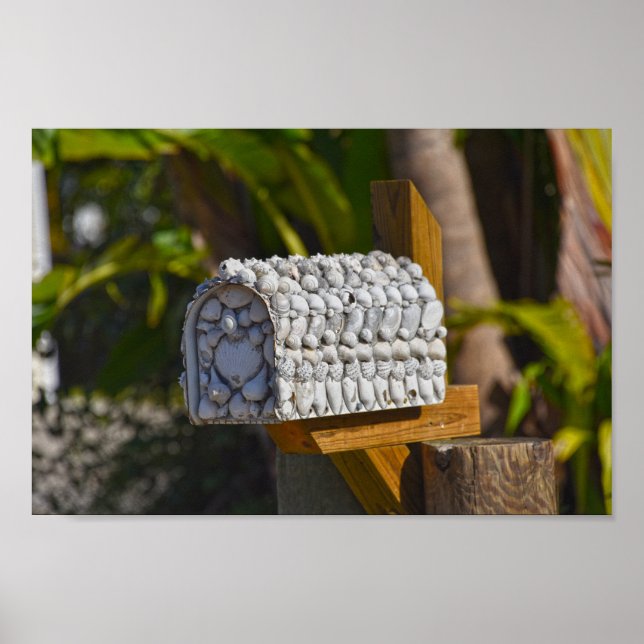Affiche Shell Mailbox, Fort Myers Beach, Floride (Devant)