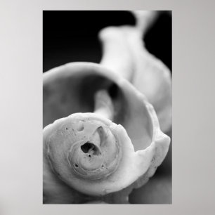 Affiche Shell patiné