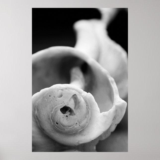 Affiche Shell patiné (Devant)