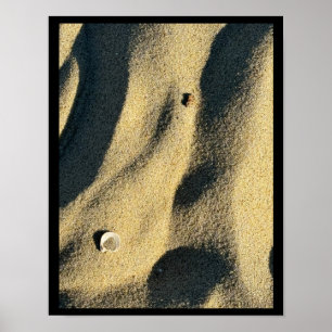 Affiche Shell Sand and Shadows