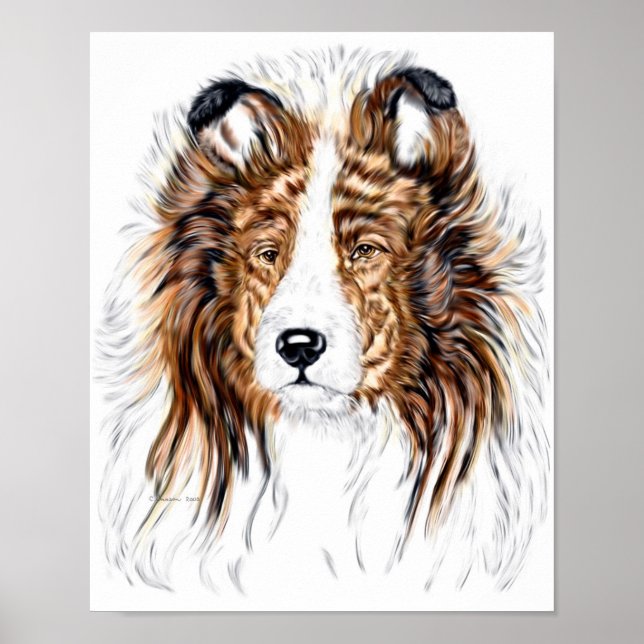 Affiche Shelter Shetland Sheepdog Bust (Devant)
