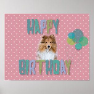 Affiche Sheltie Shetland berdog Joyeux anniversaire