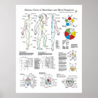 Shiatsu Acupuncture Méridiens et Hara Diagnostics