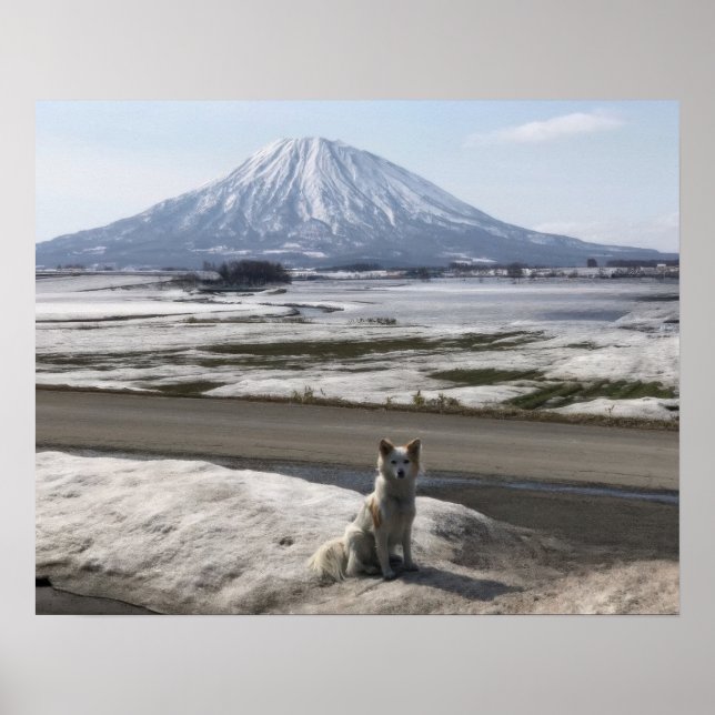 Affiche Shiba Inu (Devant)