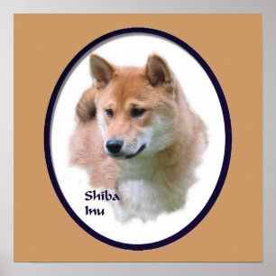 Affiche Shiba Inu Imprimer